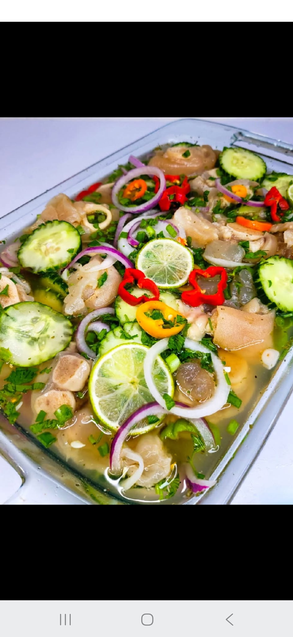 Souse with cucumber, lime, peppers and onions